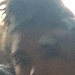 Meet your Posher, Fiona